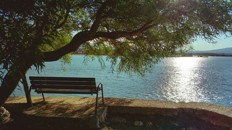 River View Under The Tree Wallpaper