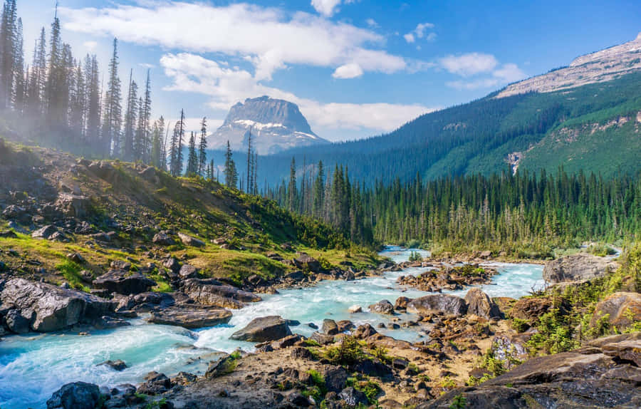 River Yoho National Park Of Canada Photography Wallpaper