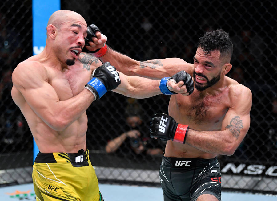 Rob Font Vs Jose Aldo Wallpaper