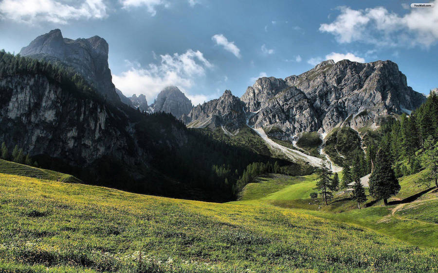 Rocky Mountain Behind A Field By The Forest Wallpaper