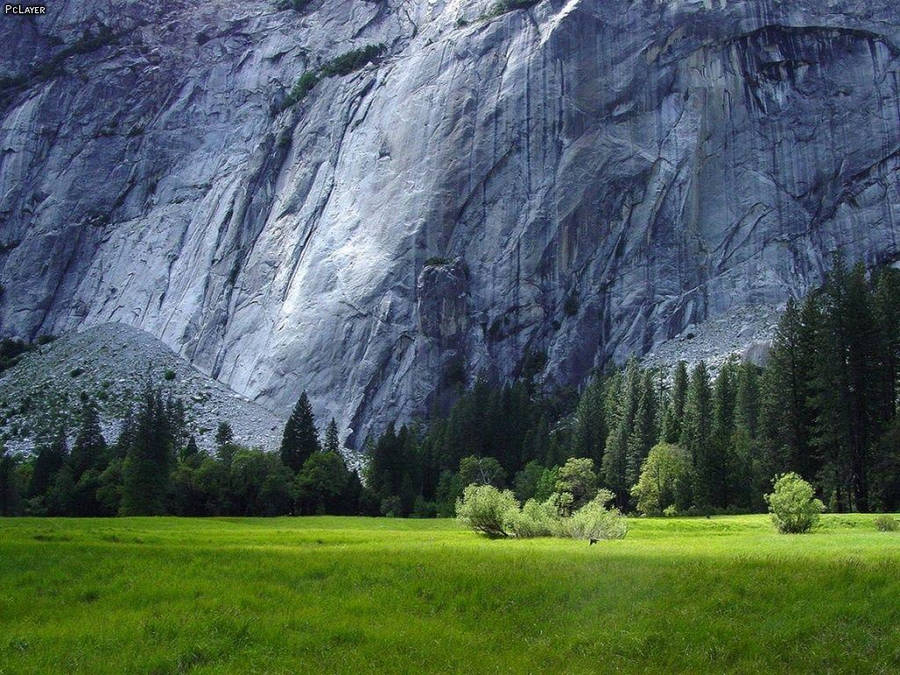 Rocky Mountain Behind A Grassy Plain Wallpaper