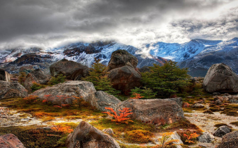 Rocky Mountain In Autumn With Small Orange Trees Wallpaper