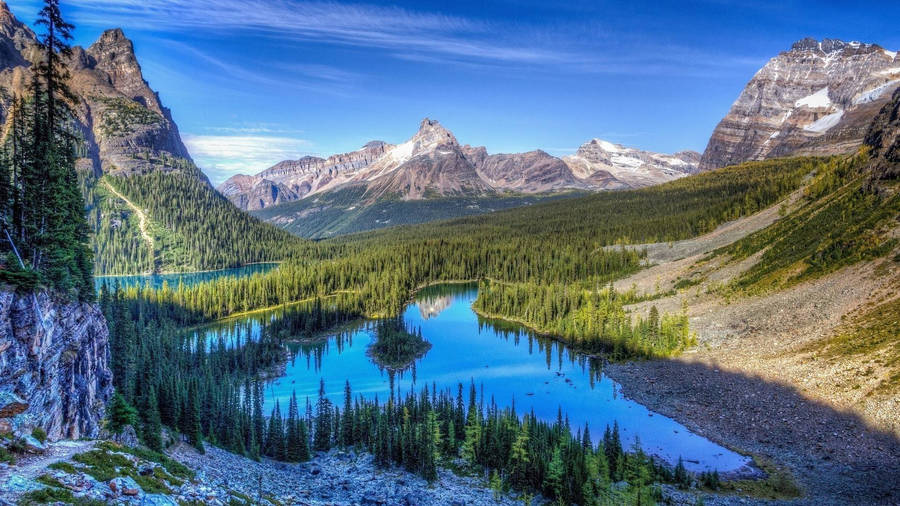 Rocky Mountain National Park Vast Forest Wallpaper