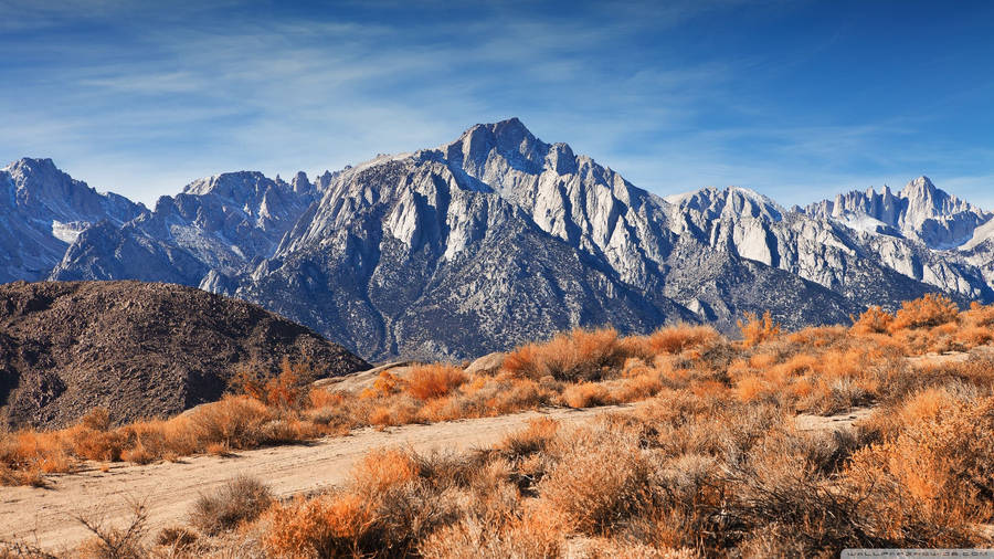 Rocky Mountain Surrounded By Orange Foliage Wallpaper