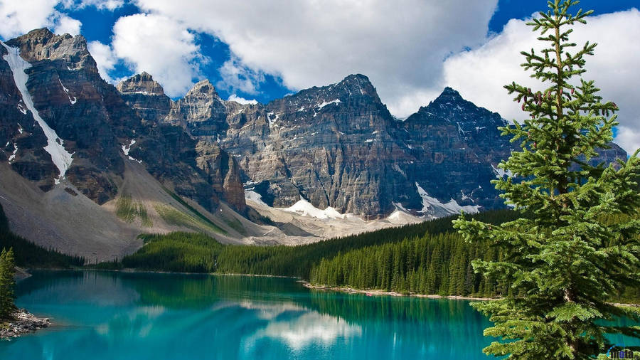 Rocky Mountain With Thick Trees By The Lake Wallpaper