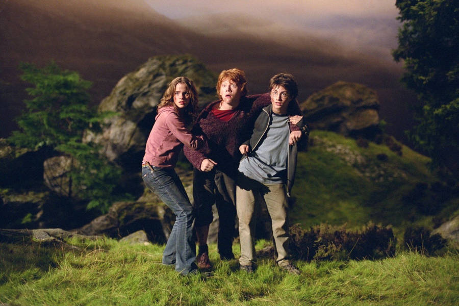 Ron Weasley Deathly Hallows 1 Wallpaper