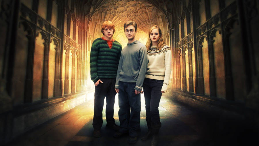 Ron Weasley With Harry And Hermione Wallpaper