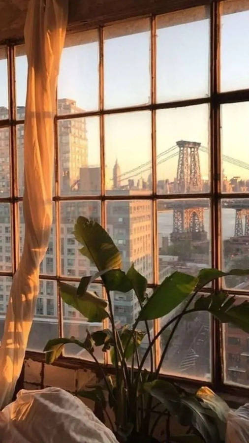 Room Cool Vibes Wallpaper