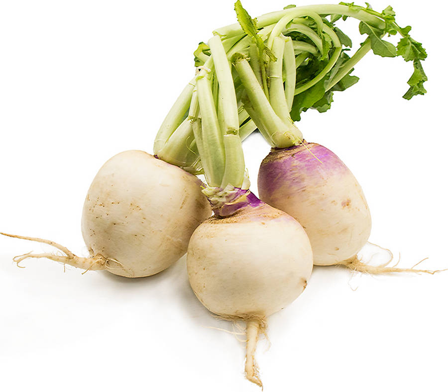 Root Vegetable Turnips Wallpaper