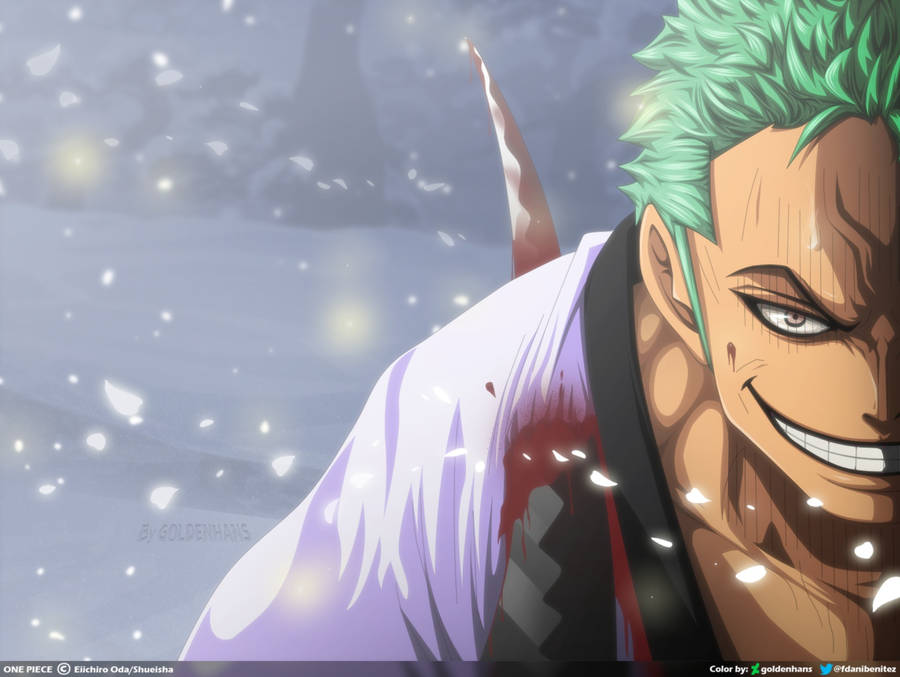 Roronoa Zoro Stabbed Wallpaper