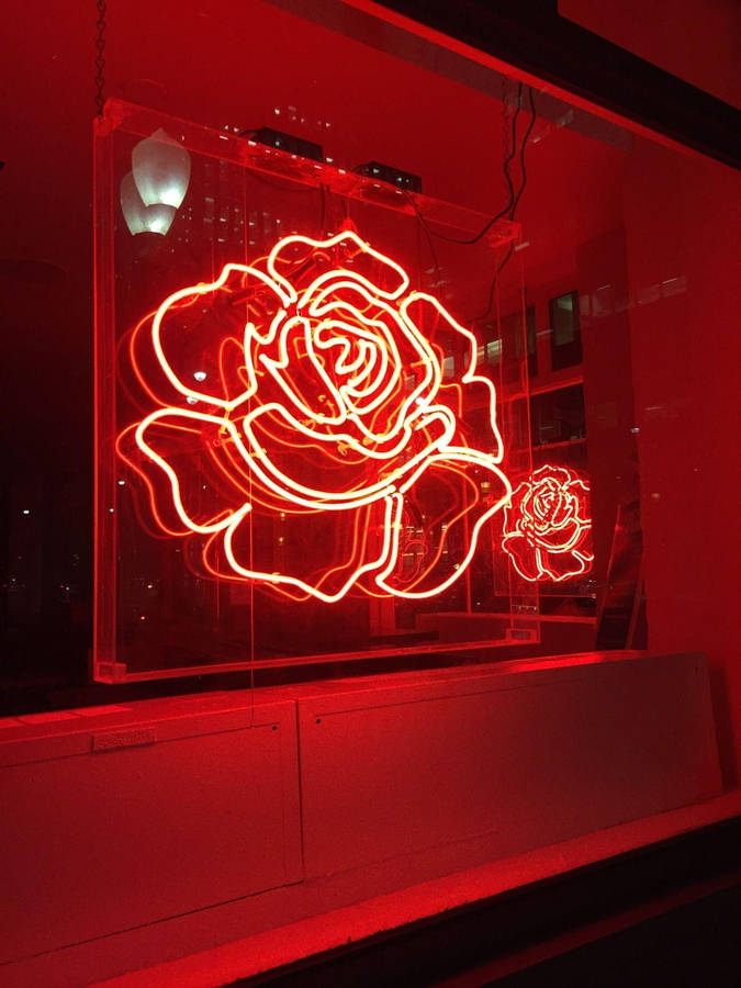 Rose Flower Neon Red Iphone Wallpaper