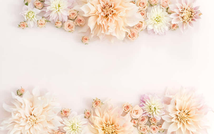 Rose Gold Carnation Flowers Laptop Wallpaper