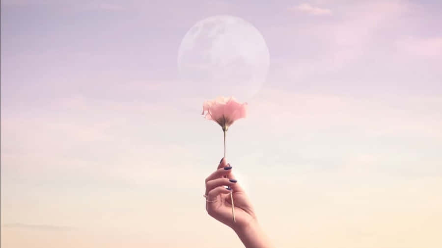 Rose Gold Flower Laptop Wallpaper