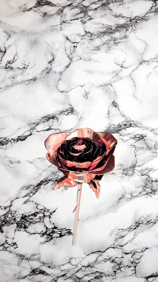 Rose Gold Rose Black White Marble Iphone Wallpaper