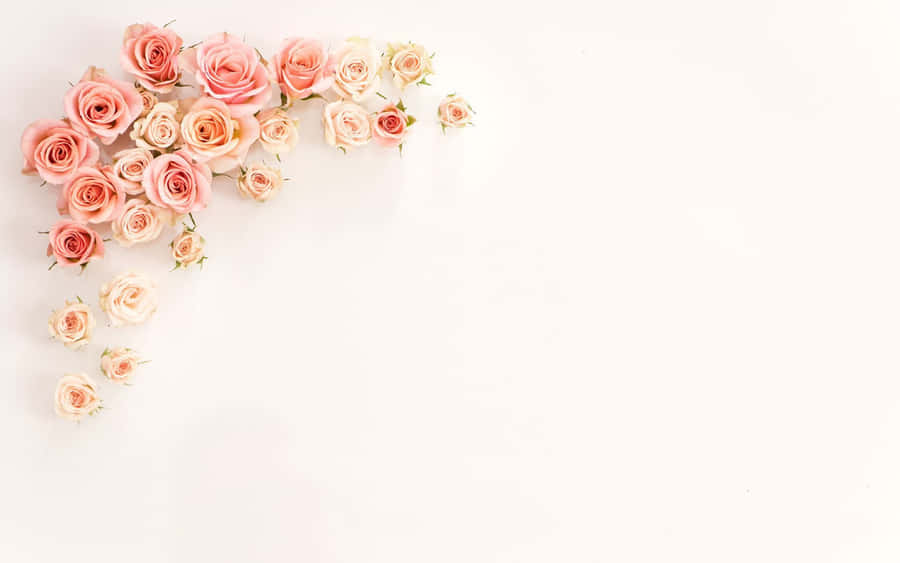 Rose Gold Roses Laptop Wallpaper