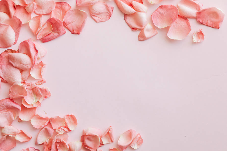 Rose Petals Pastel Desktop Wallpaper