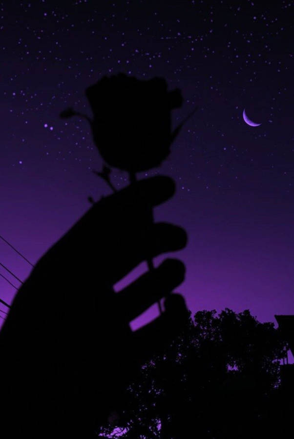 Rose Silhouette Dark Purple And Black Wallpaper