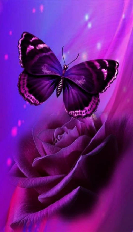 Rose With Purple Butterfly Phone Background Wallpaper