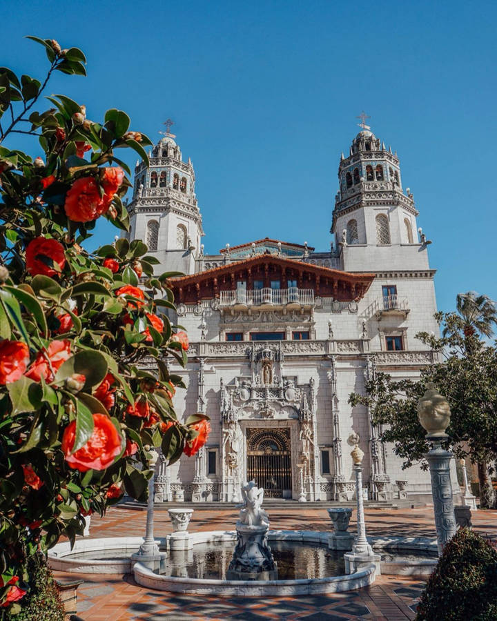 Roses In Front Of The Hearst Castle Wallpaper