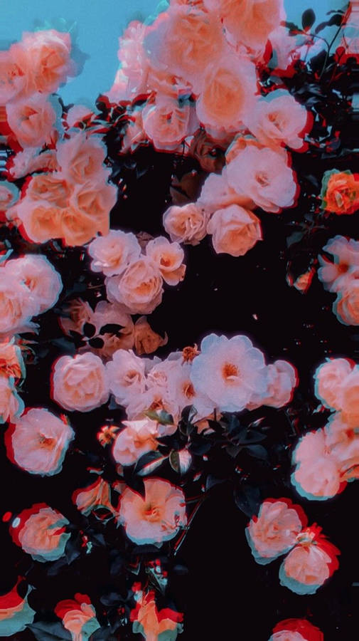 Roses Trippy Aesthetic Wallpaper