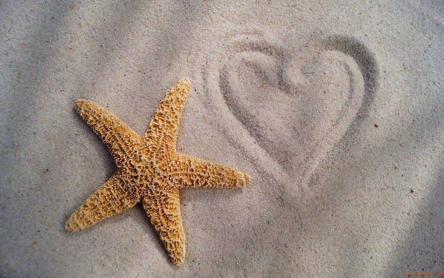 Rough Brown Starfish Heart On Sand Wallpaper