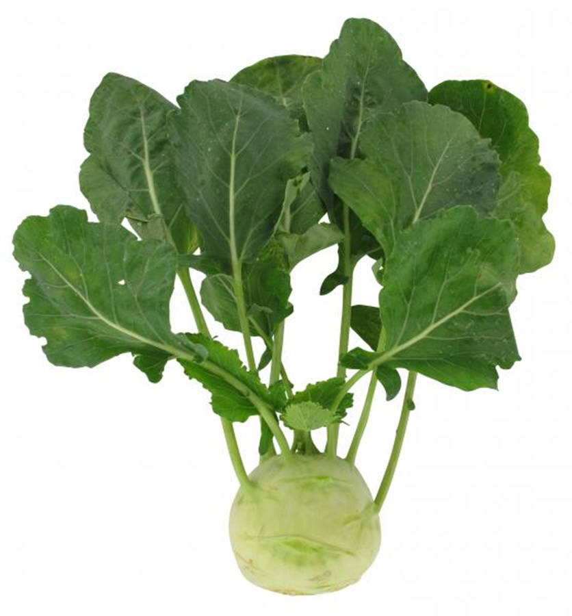 Round Kohlrabi Vegetable Wallpaper