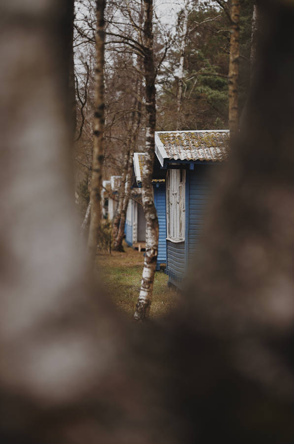 Row Of Blue Houses In Lithuania Wallpaper