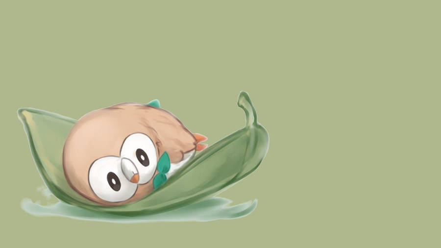 Rowlet Resting On Leaf Wallpaper