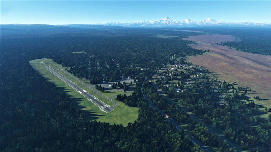 Runway Within A Forest Wallpaper