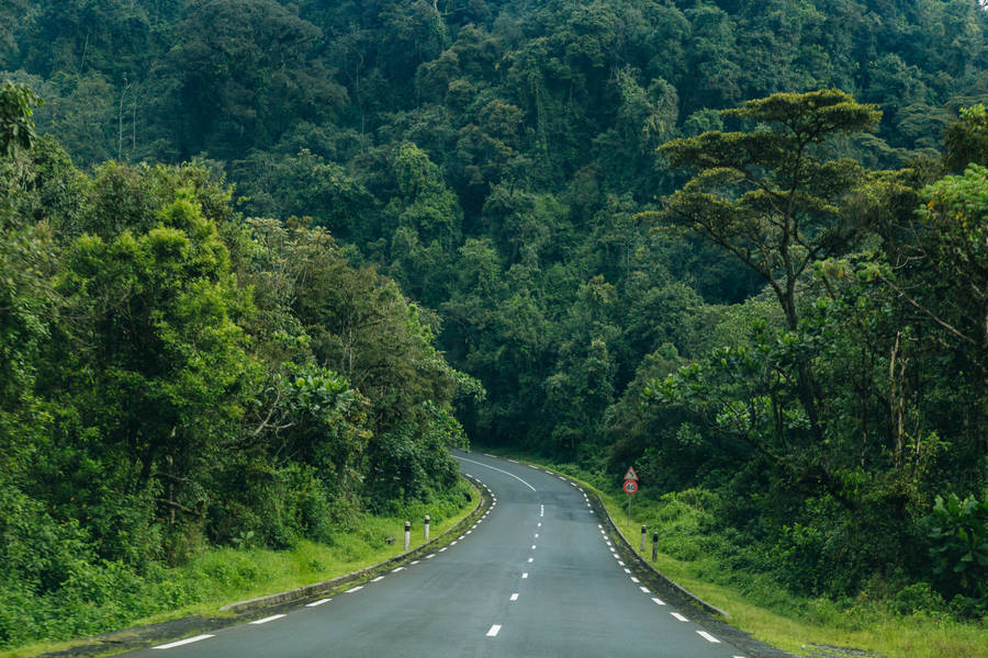 Rwanda Road And Trees Wallpaper