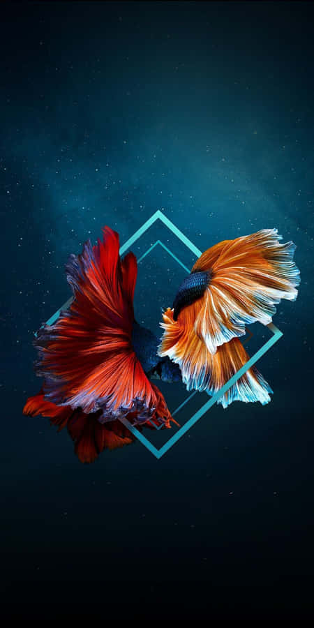 Sacred Geometry Wallpaper: Intricate Patterns And Cosmic Harmony Wallpaper