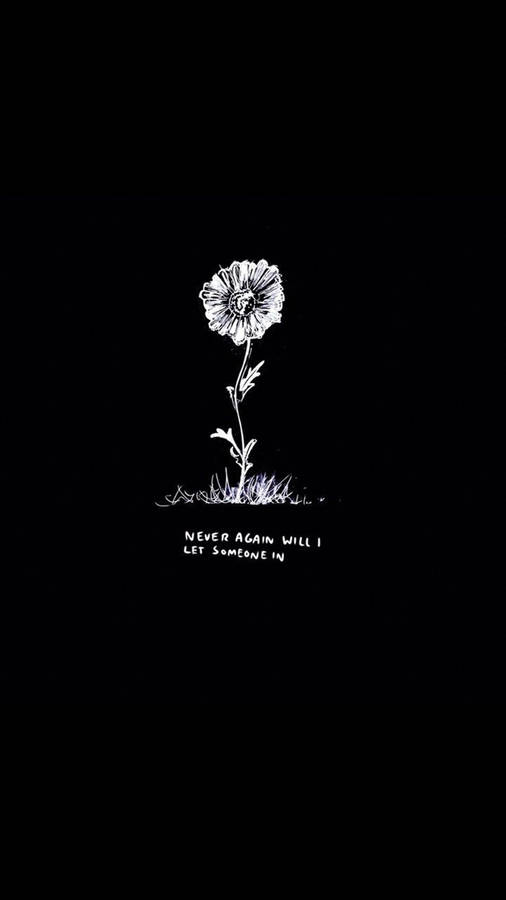 Sad Aesthetic Tumblr Dark Daisy Wallpaper