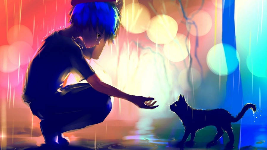 Sad Anime Boy Black Cat Wallpaper