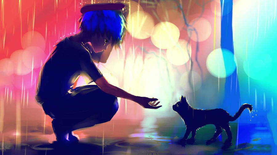 Sad Boy Anime And Cat Wallpaper