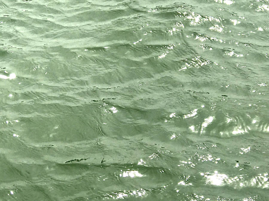 Sage Green Waves Wallpaper