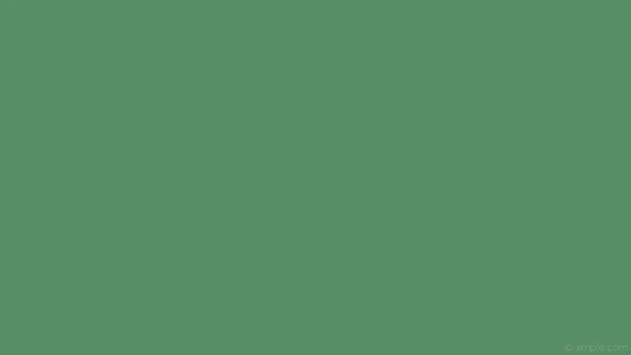 Sage Plain Green Wallpaper