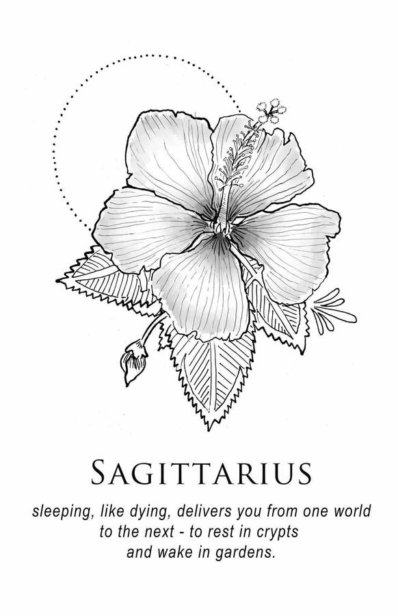 Sagittarius Zodiac Hibiscus Flower Wallpaper