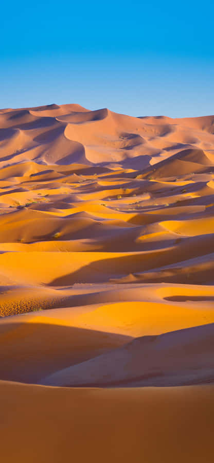 Sahara Desert Sand Dunes Wallpaper