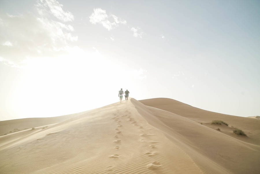 Sahara Sand Dunes Adventure Wallpaper