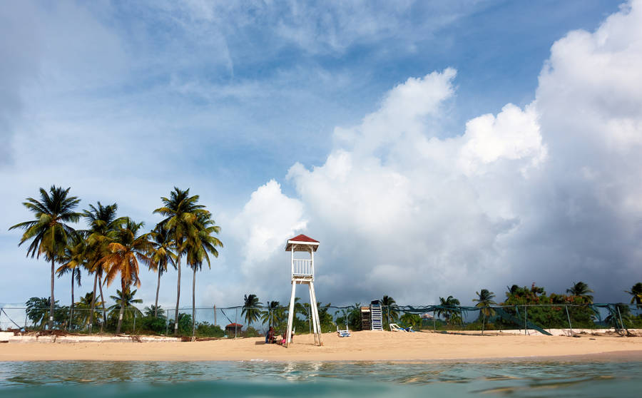 Saint Lucia Rodney Bay White Beach Wallpaper