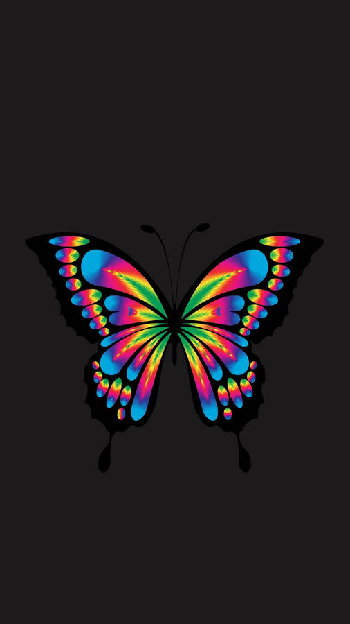 Samsung Galaxy 4k Colorful Butterfly Wallpaper