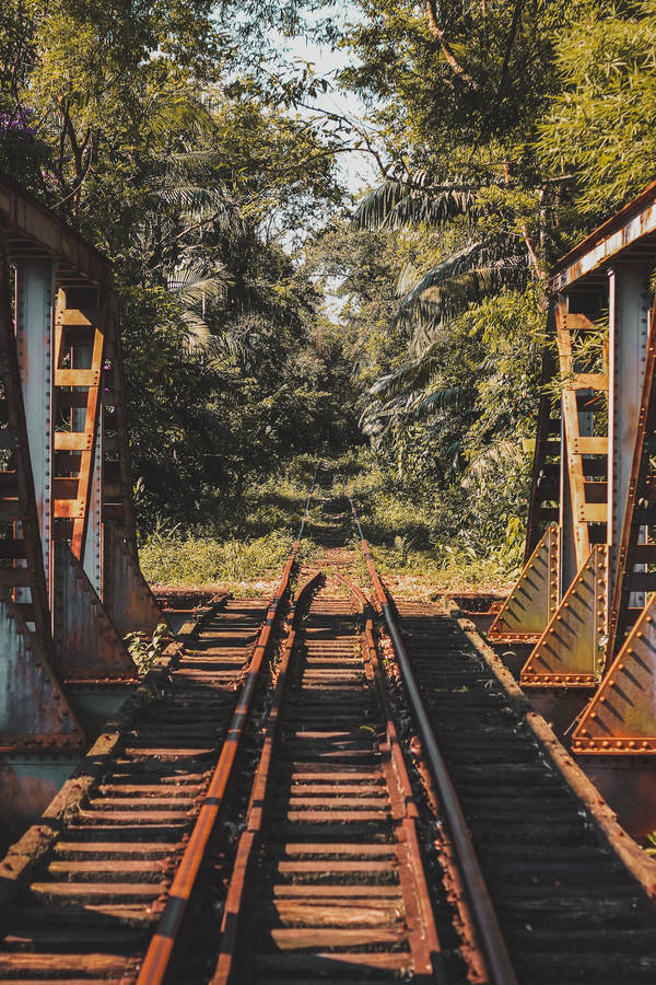 Samsung Galaxy 4k Train Tracks Forest Trees Wallpaper