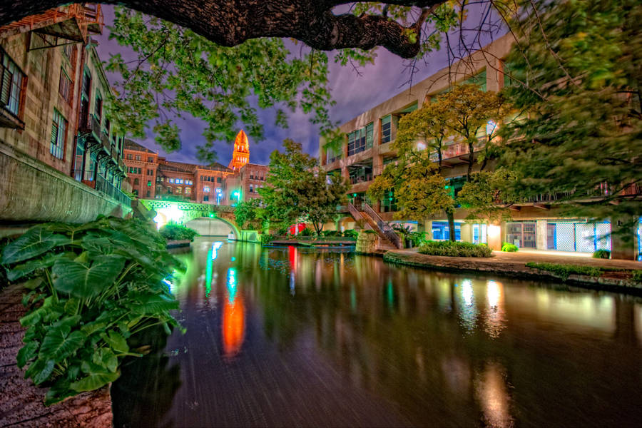 San Antonio River Wallpaper