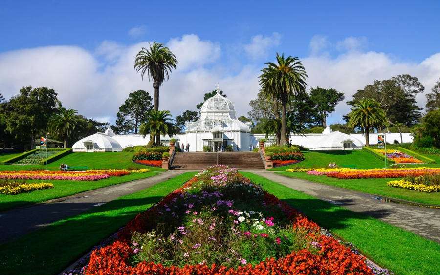 San Francisco Conservatory Of Flowers Wallpaper