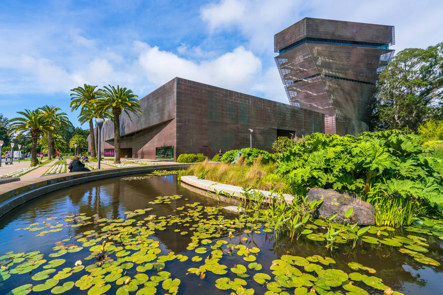 San Francisco De Young Museum Garden Wallpaper