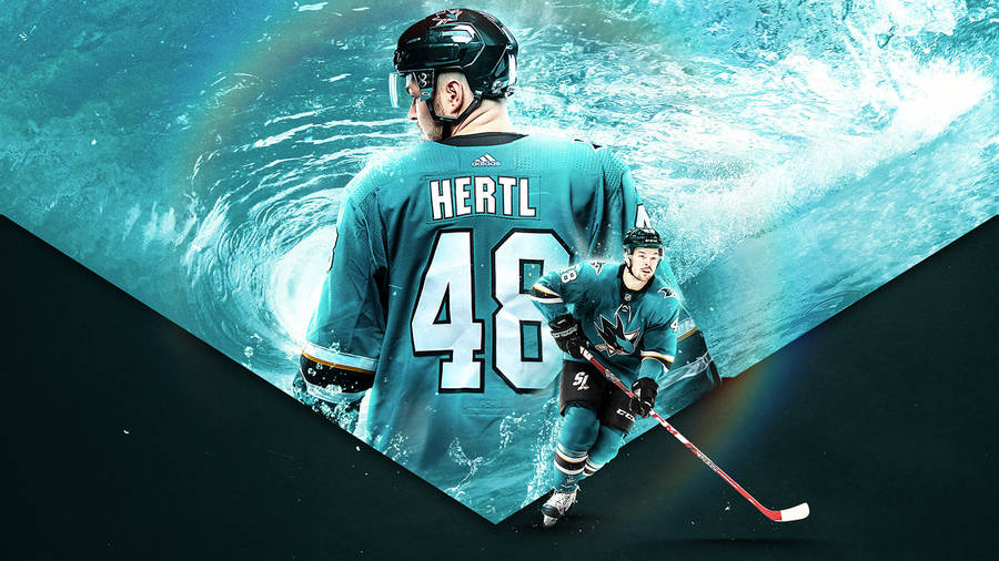 San Jose Sharks Tomas Hertl Wallpaper