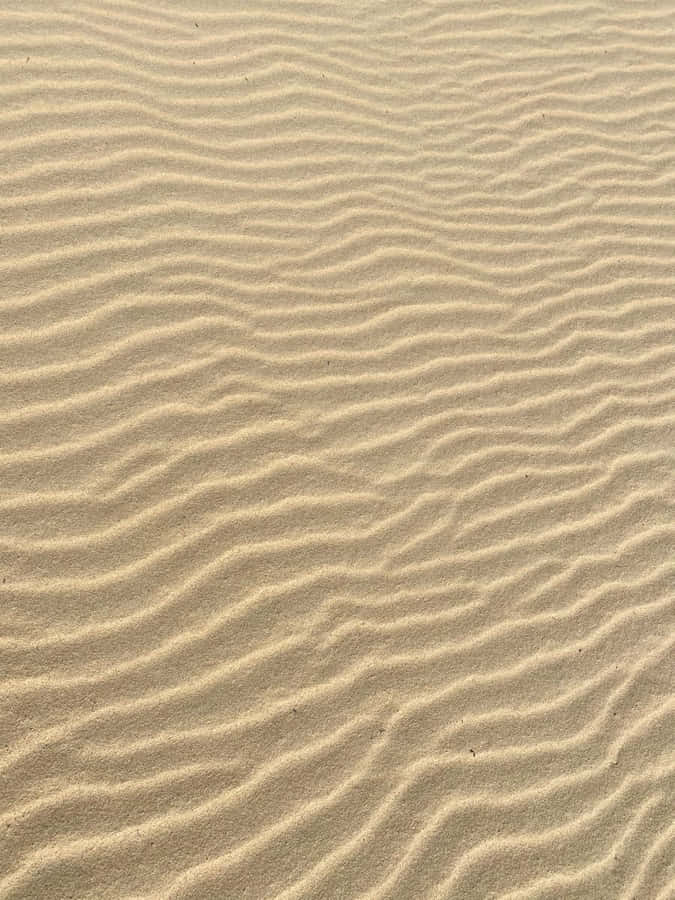 Sand Ripple Formation Wallpaper