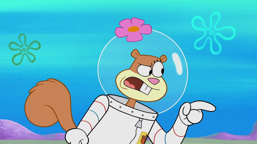 Sandra Jennifer Olivia Sandy Cheeks Wallpaper