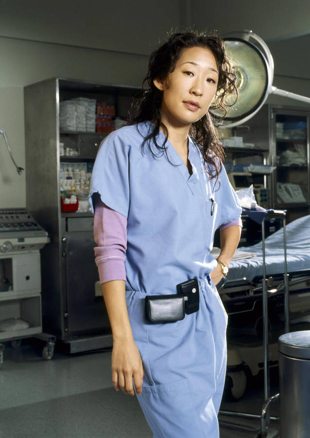 Sandra Oh Grey's Anatomy Actress Wallpaper