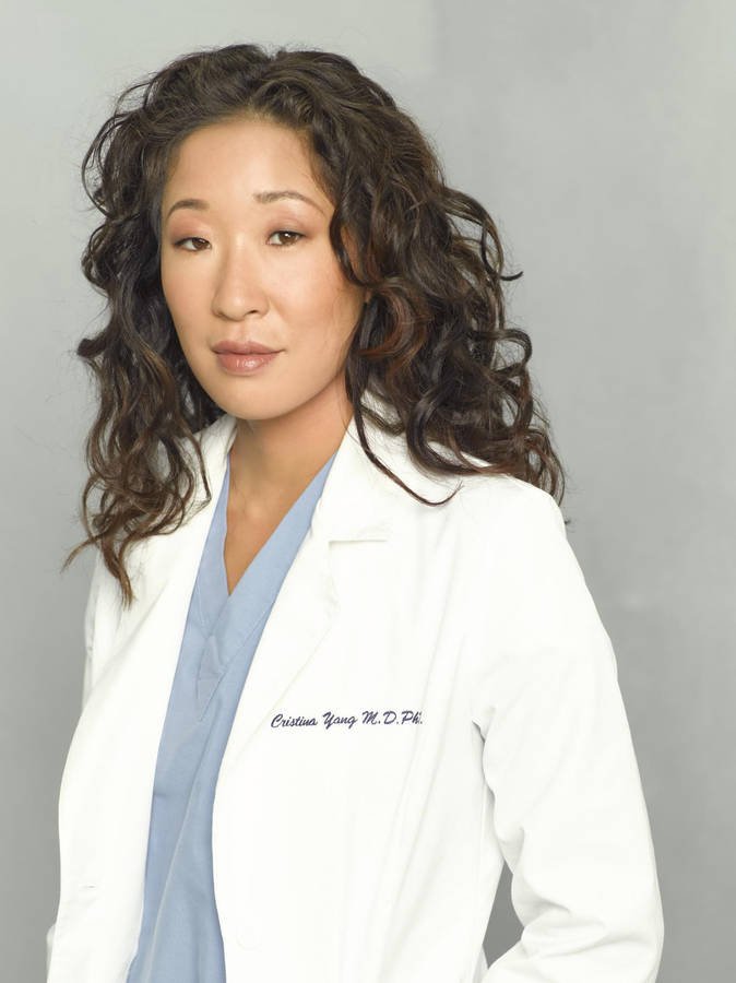 Sandra Oh In Grey's Anatomy Wallpaper